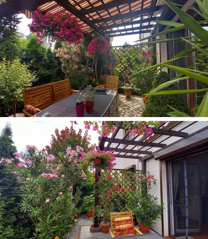 Gotowe mieszkanie 3-pokojowe z ogródkami, garaż z podjazdem - 15