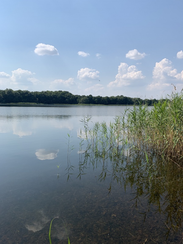 Sprzedam działki nad jeziorem - 5