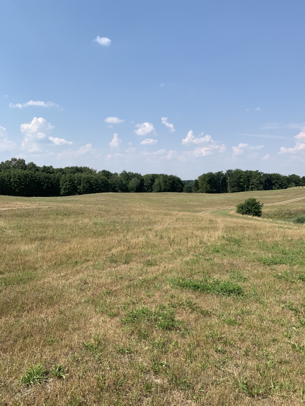 Sprzedam działki nad jeziorem - 6