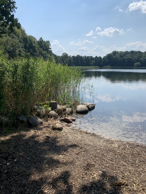 Sprzedam działki nad jeziorem - 8