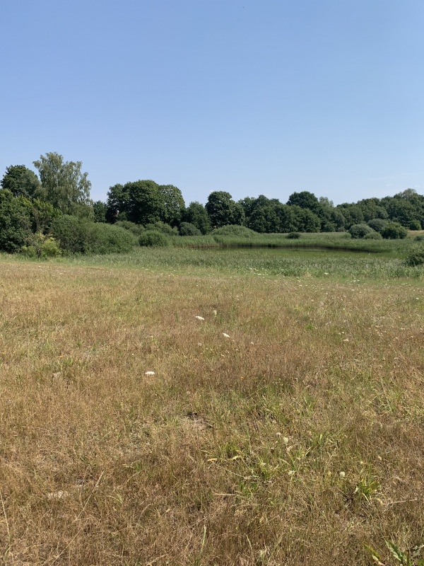 Sprzedam działki nad jeziorem - 9