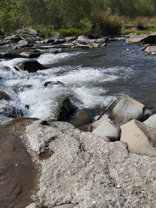 Wynajmę działkę w górach Jeleśnia pod Żywcem  - 3