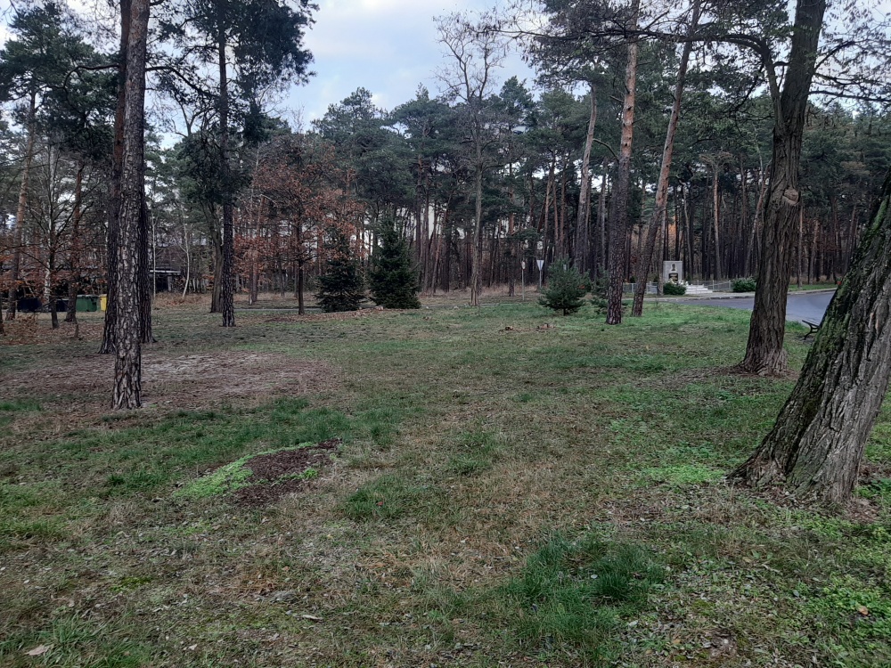 ładne klimatyczne z kominkiem MIESZKANIE 2-pozimowe 98 m2 - 17