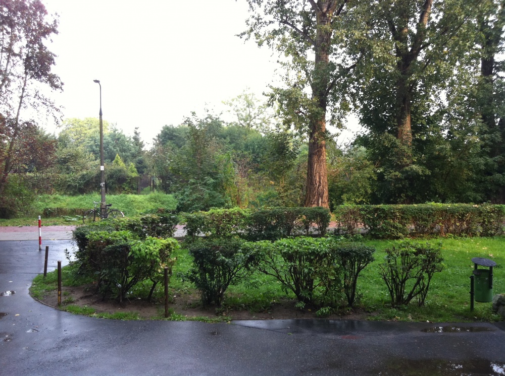 Przytulna kawalerka, blisko park, dobry dojazd do Centrum, Bezpośrednio - 7
