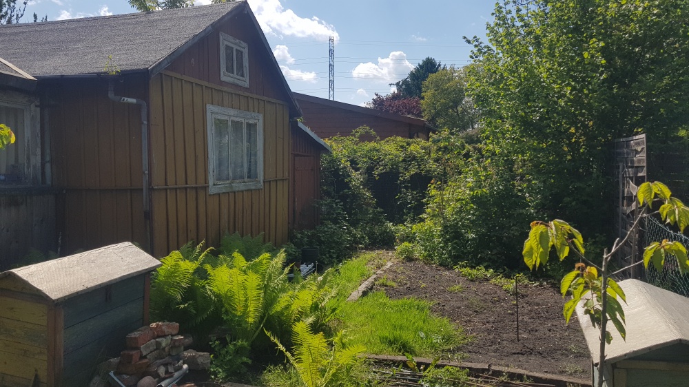 Działka rekreacyjna ROD RAi z domkiem - 12