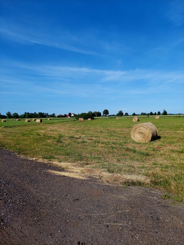 Działki na sprzedaż w miejscowości Sztutowo - 9