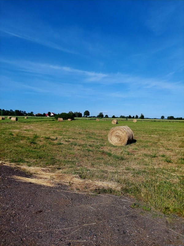 Działki na sprzedaż w miejscowości Sztutowo - 4