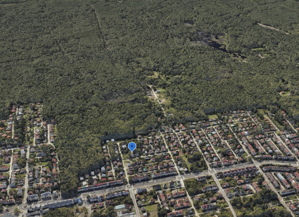 Rezydencja z ogrodem przy Mazowieckim Parku Krajobrazowym - 0