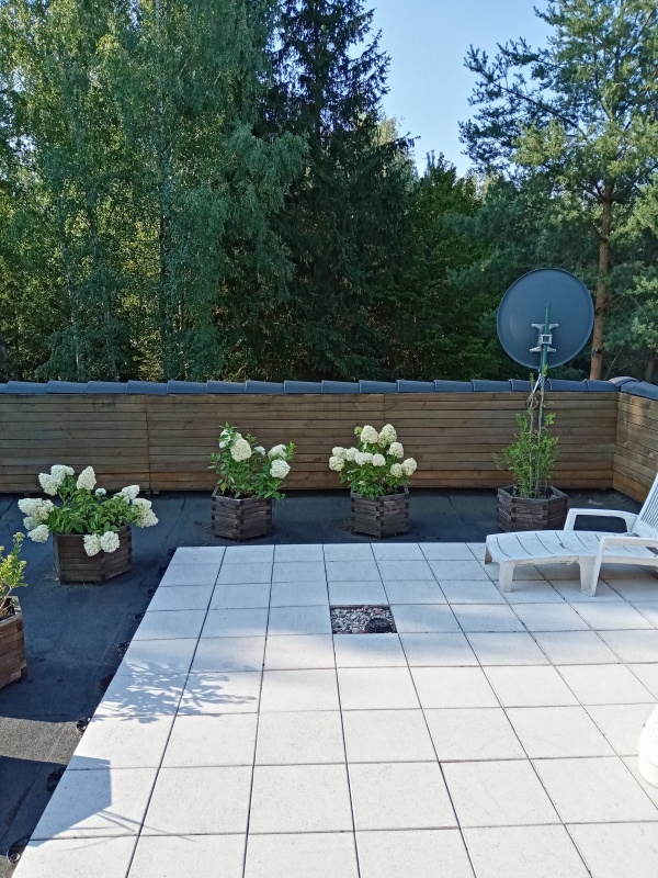 Sprzedam duży dom z potencjałem, 37 km. od centrum Warszawy w cichej i zielonej okolicy. - 4