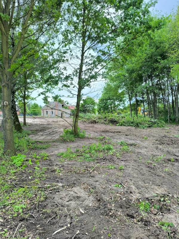 Działkę w dzierżawę w Gortatowie - 13