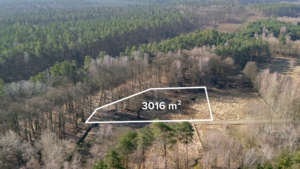 Działka przy lesie, nad Zalewem Szczecińskim z warunkami. - 0