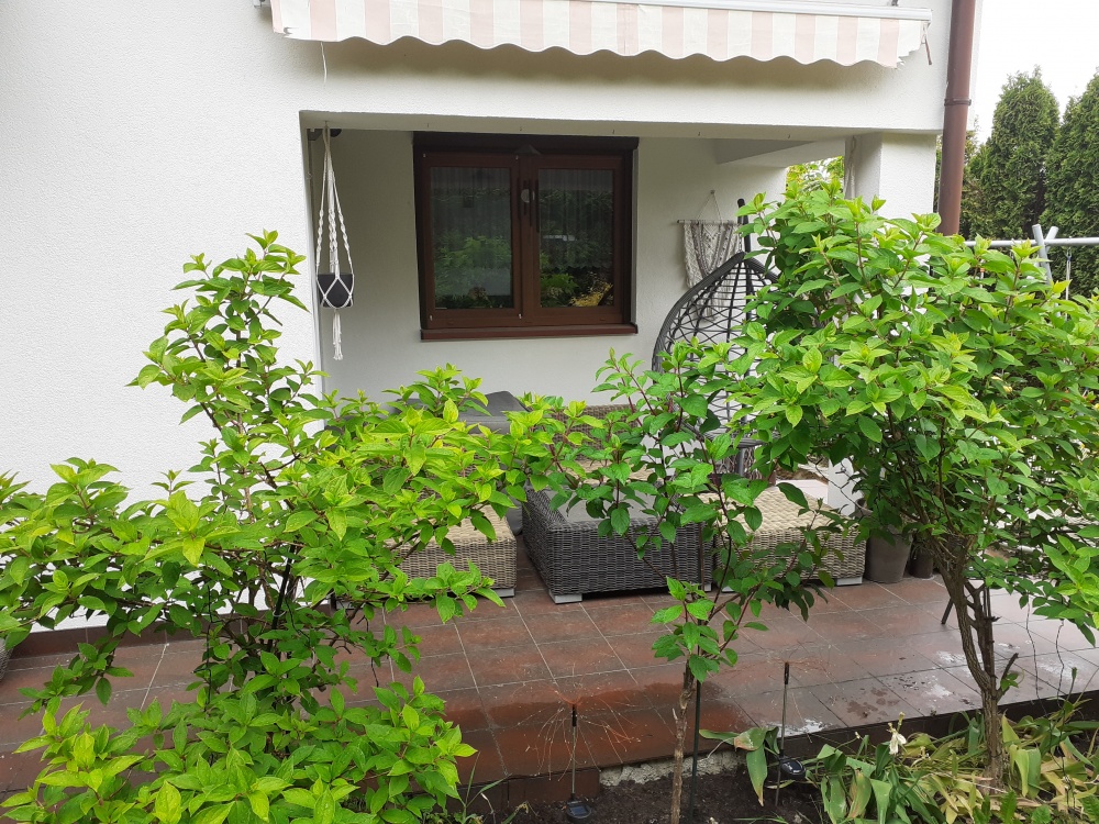 Wynajme do z ogrodem  od zaraz  - 11