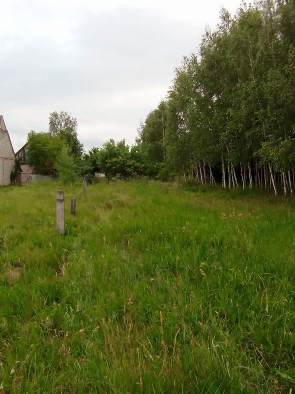 DOM NA WSI – SAD, ZIELEŃ, PRZESTRZEŃ  - 6