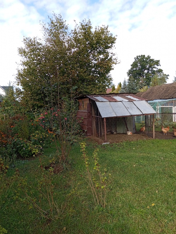 DOM NA WSI – SAD, ZIELEŃ, PRZESTRZEŃ  - 11