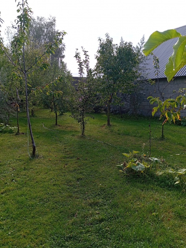 DOM NA WSI – SAD, ZIELEŃ, PRZESTRZEŃ  - 12