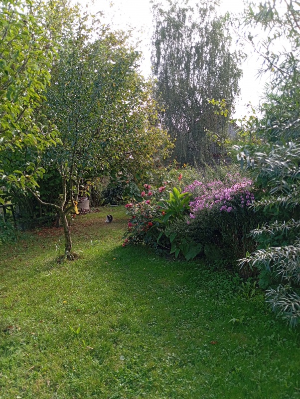 DOM NA WSI – SAD, ZIELEŃ, PRZESTRZEŃ  - 14