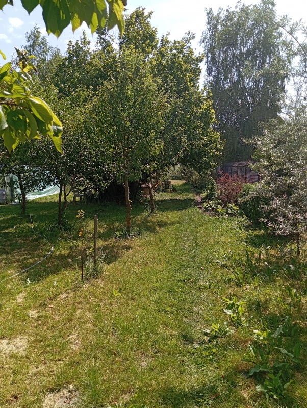 DOM NA WSI – SAD, ZIELEŃ, PRZESTRZEŃ  - 17