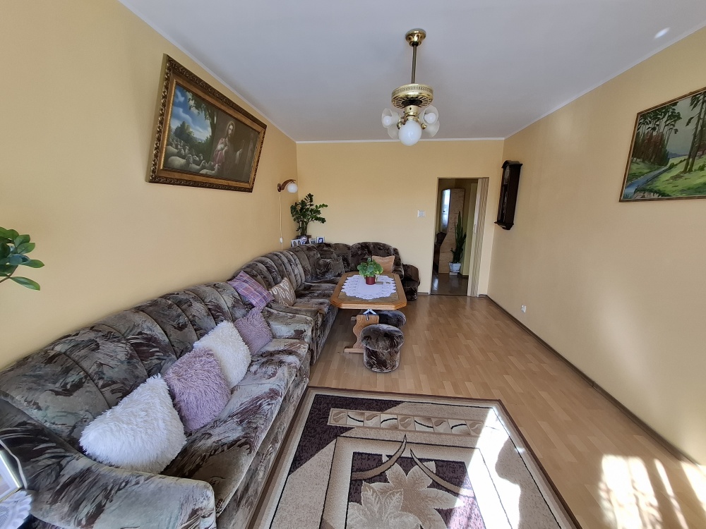 Sprzedam mieszkanie na parterze,2 pokoje,balkon - 3