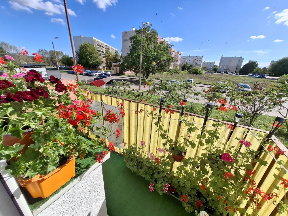Sprzedam mieszkanie na parterze,2 pokoje,balkon - 10