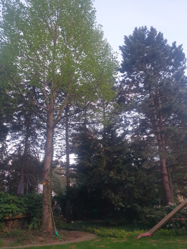 Dom Warszawa Wawer - 18