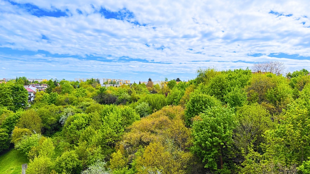 Na sprzedaż: 4-pokojowe mieszkanie z pięknym widokiem – Gdańsk, ul. Michała Ogińskiego - 3