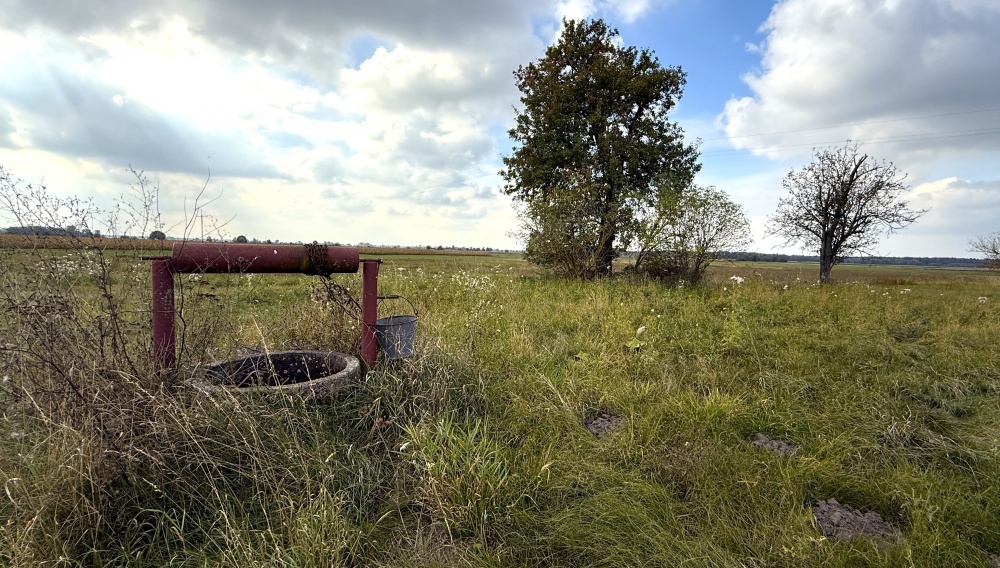 Dom, Działki Sosnówka, Rozwadówka, gm. Sosnówka - 14