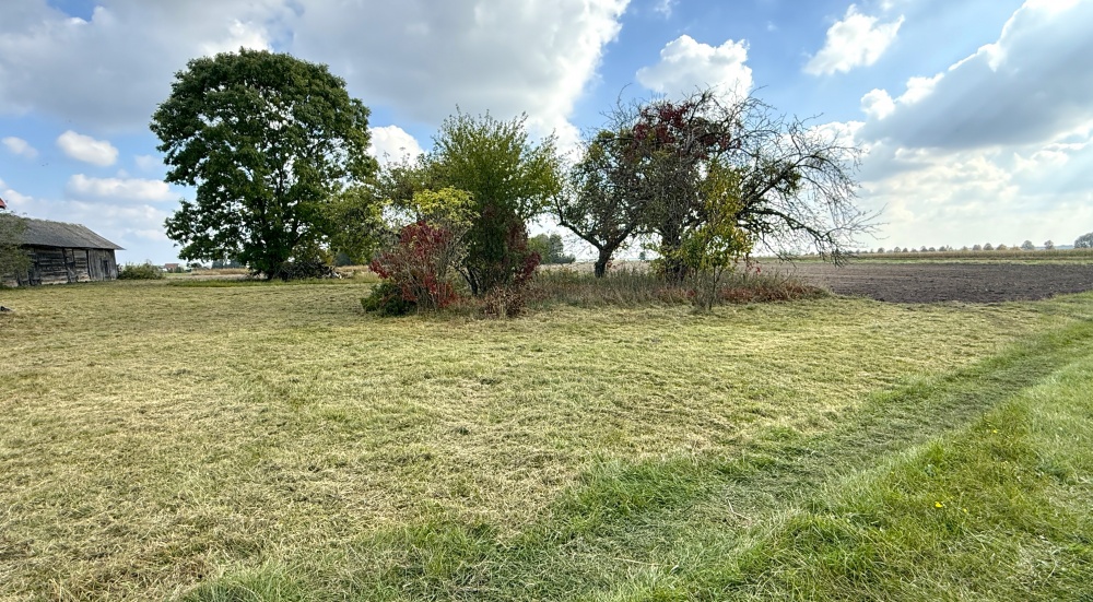 Dom, Działki Sosnówka, Rozwadówka, gm. Sosnówka - 15
