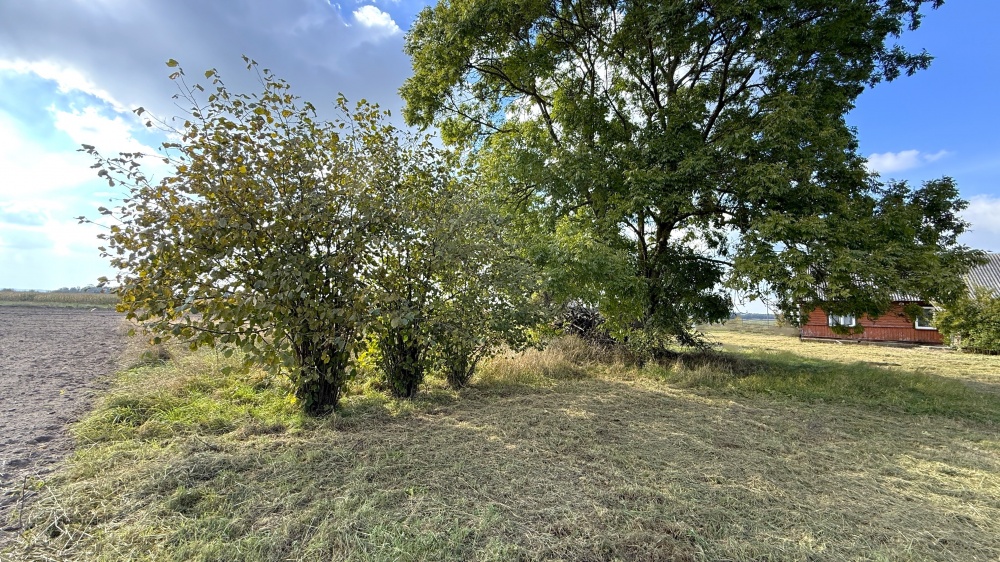 Dom, Działki Sosnówka, Rozwadówka, gm. Sosnówka - 13