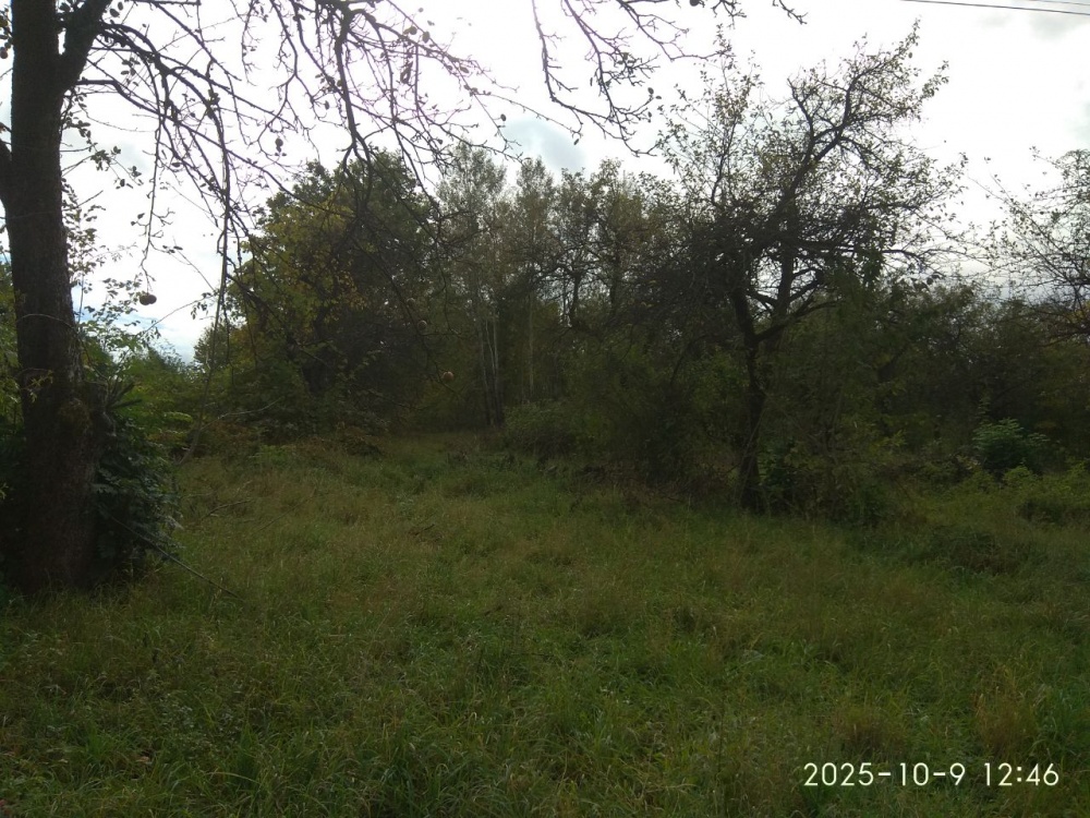 Działka budowlana inwestycyjna 31a malowniczy Beskid Niski - 3