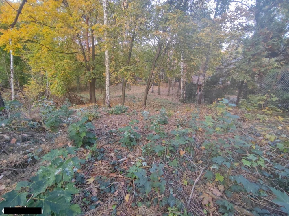 Łomianki, Dąbrowa Leśna, działka 1500m2 - 2