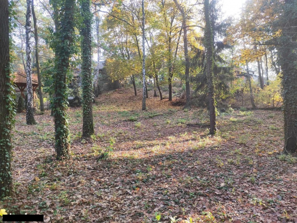 Łomianki, Dąbrowa Leśna, działka 1500m2 - 3