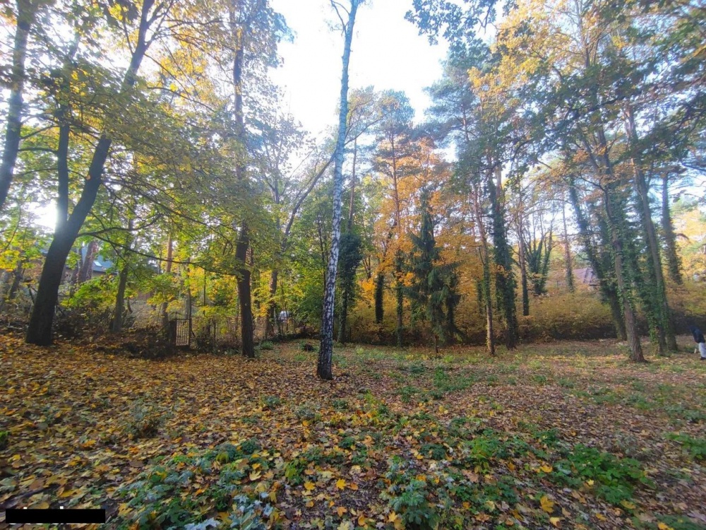 Łomianki, Dąbrowa Leśna, działka 1500m2 - 4
