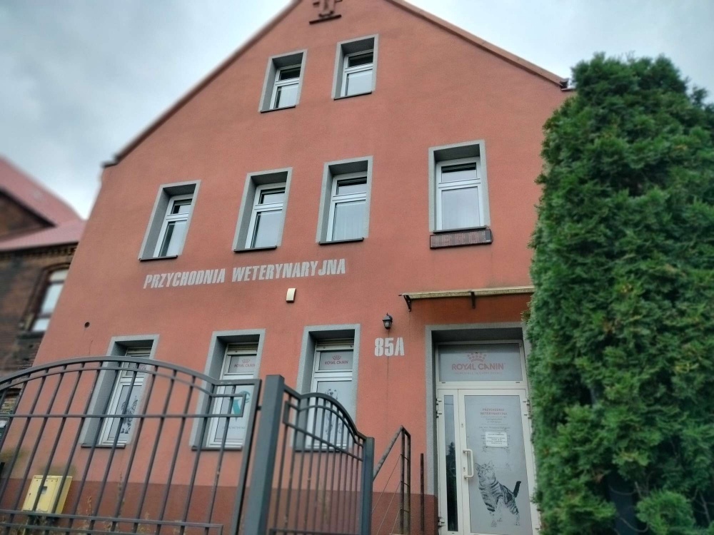 dwa mieszkania w domu jednorodzinnym  łącznie 120m2 plus 500m2 gruntu - 10