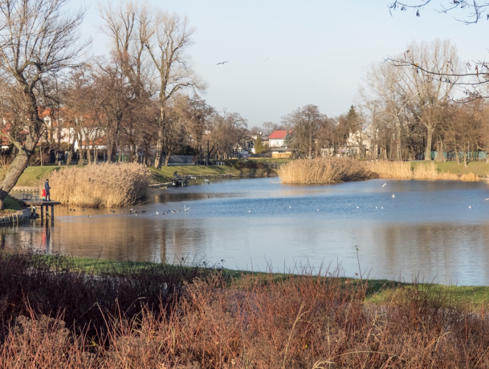 Sprzedam 4 pokoje - ul. Stawy | Flat with 4 rooms | Okazja - 4