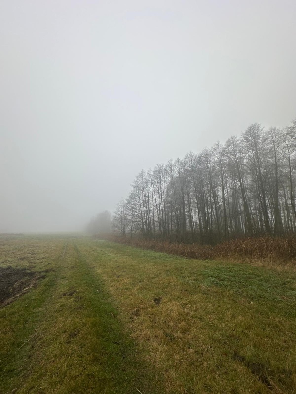 Działka na sprzedaż – Bystrzanów, ul. Królewska - 1