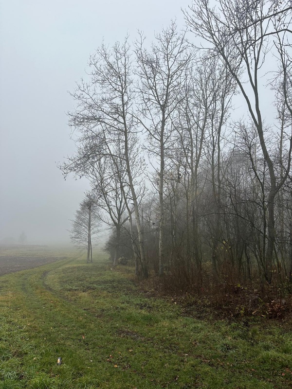 Działka na sprzedaż – Bystrzanów, ul. Królewska - 2