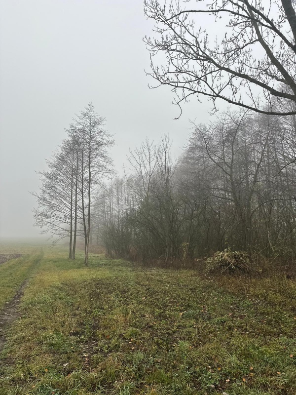 Działka na sprzedaż – Bystrzanów, ul. Królewska - 7