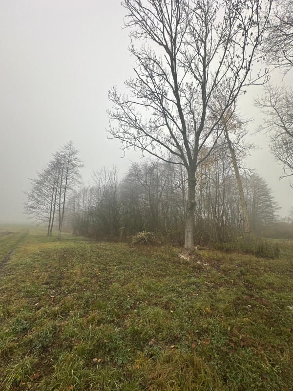 Działka na sprzedaż – Bystrzanów, ul. Królewska - 4