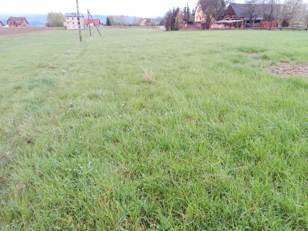 Stadła działka budowlana uzbrojona sprzedaż bez pośrednika - 2