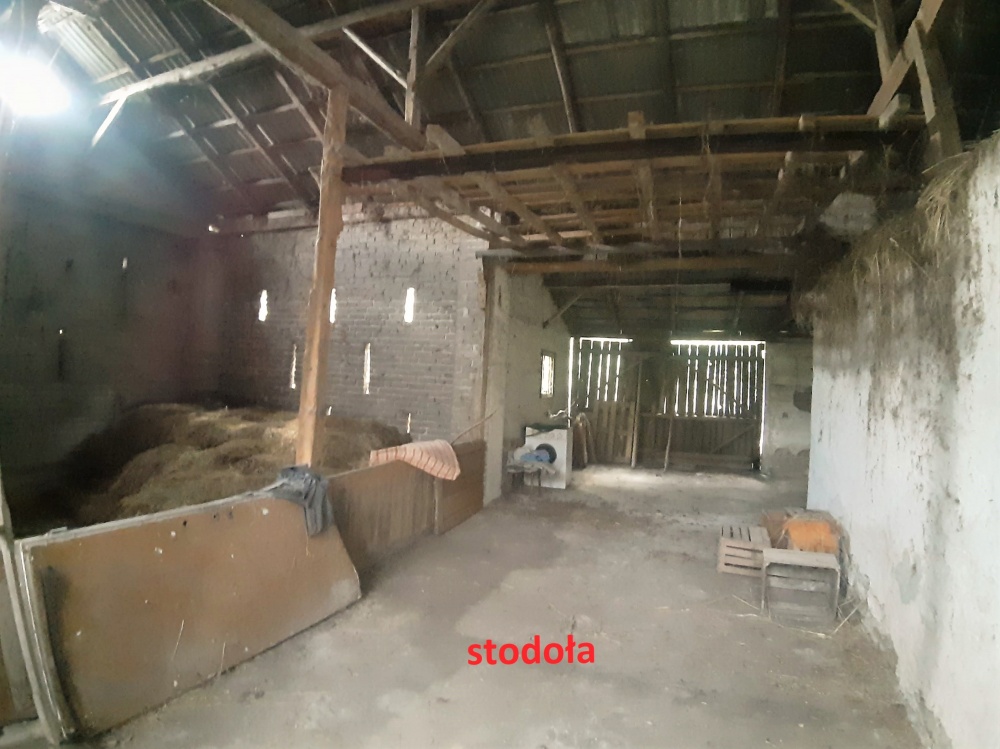 Dom, bud. gospodarcze i 3000m.kw. działki - 4
