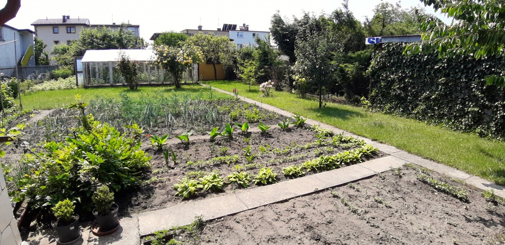 Duży dom na zadbanej działce. - 16