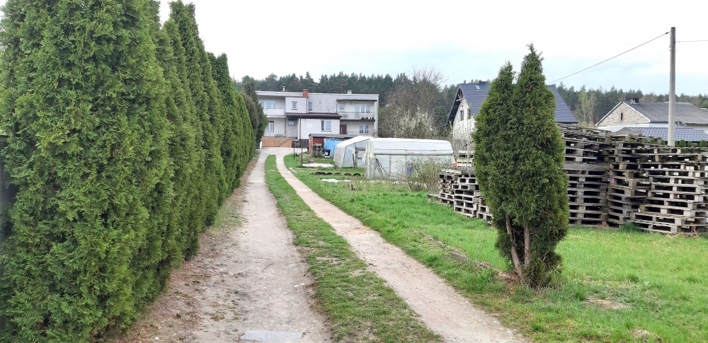 Mieszkanie 3 pok.+ 660 m2 działki - 14