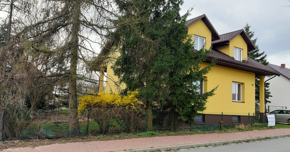 Dom i budynek gospodarczy - 3