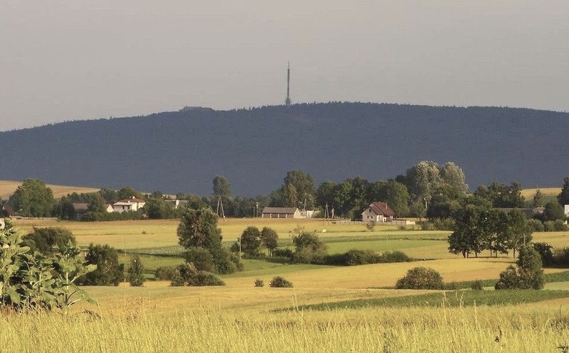 Dom+bud. gosp.+duża działka - 15