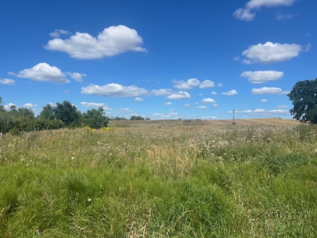 Syndyk sprzeda udział w wysokości 1/4, Kłodowo,  działki nr 70/1, 70/2, 69/1, 71/1, 71/2, 72/1, 72/2, 68/1 - cena 10% wartości oszacowania  - 4