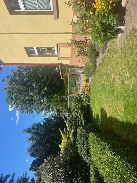 Syndyk sprzeda udział w wysokości 1/4, Kłodowo,  działki nr 70/1, 70/2, 69/1, 71/1, 71/2, 72/1, 72/2, 68/1 - cena 10% wartości oszacowania  - 8