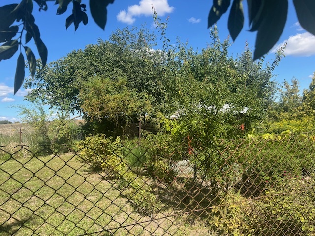 Syndyk sprzeda udział w wysokości 1/4, Kłodowo,  działki nr 70/1, 70/2, 69/1, 71/1, 71/2, 72/1, 72/2, 68/1 - cena 10% wartości oszacowania  - 16