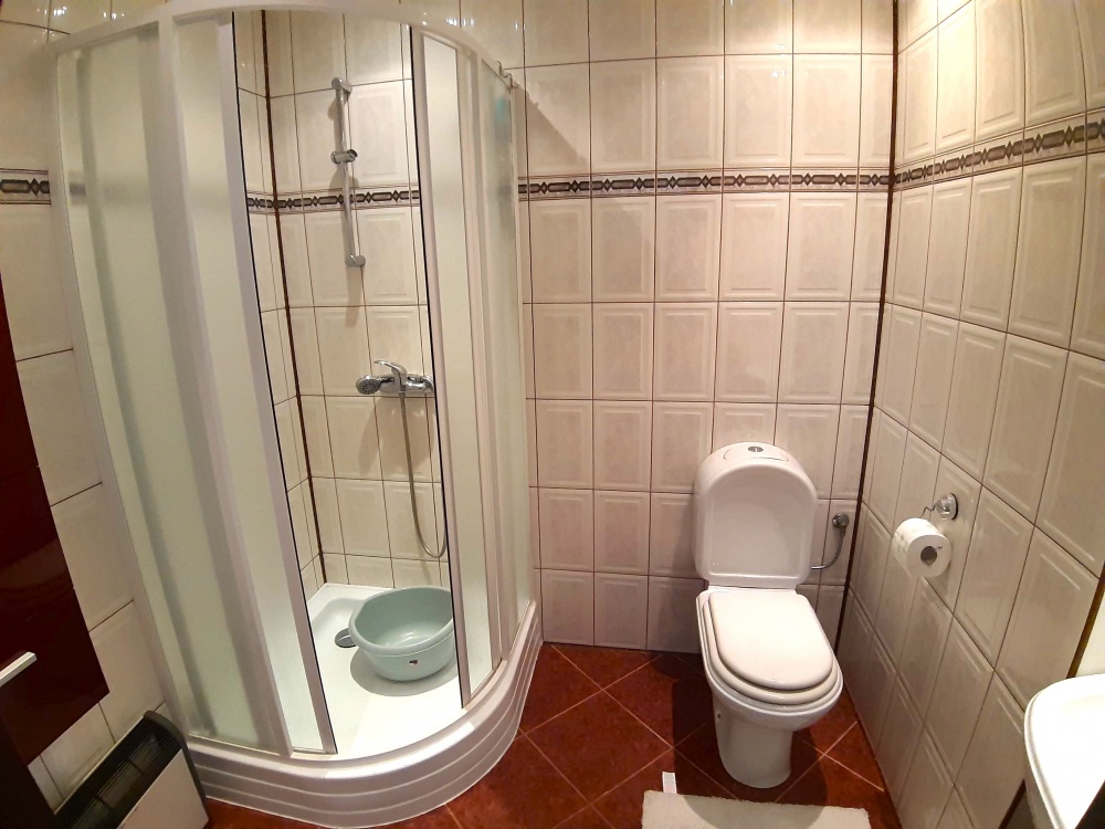 Duży, zadbany, do wprowadzenia - 6