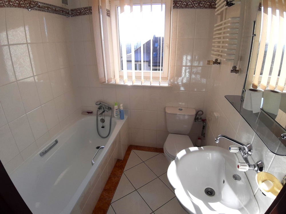 Duży, zadbany, do wprowadzenia - 9