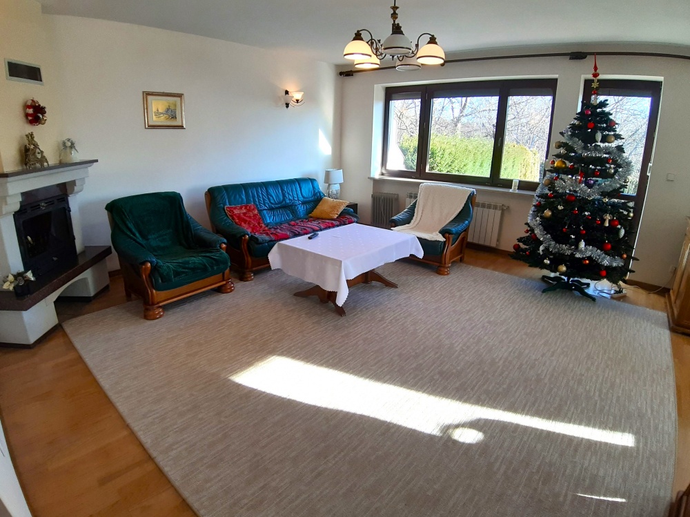 Duży, zadbany, do wprowadzenia - 14